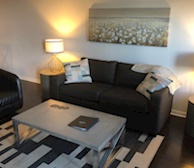 Living Room Free WiFi Fully Furnished Apartment Suite Orleans